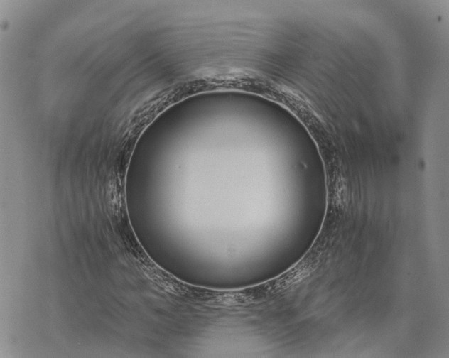 X0000073450966200608111346