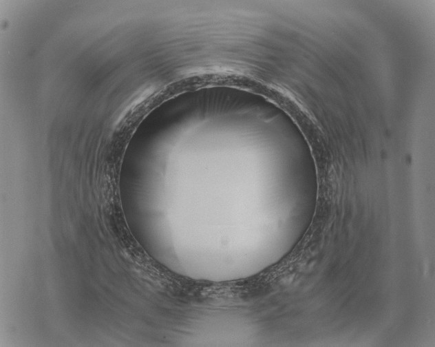 X0000073450967200608111346