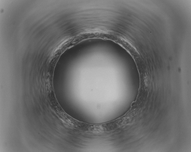 X0000073450968200608111346