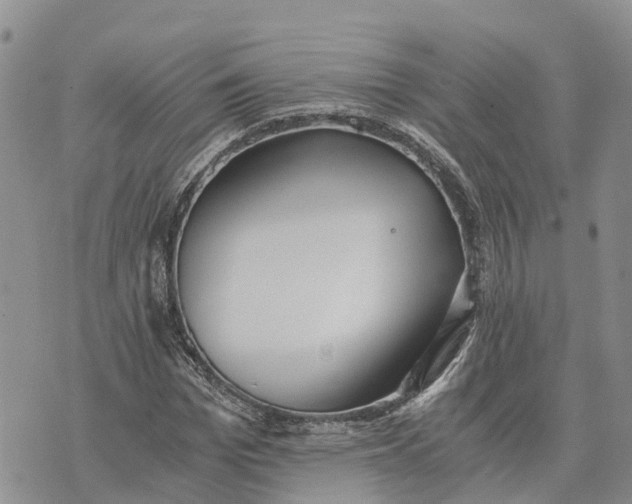 X0000073450969200608111346