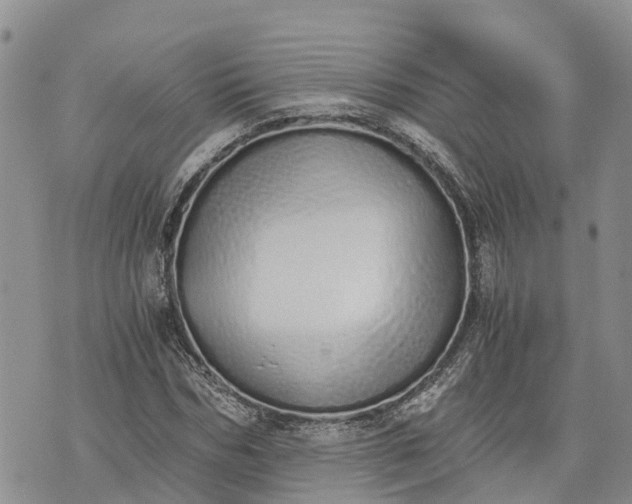 X0000073450970200608111346