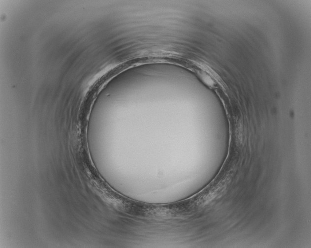 X0000073450971200608111346