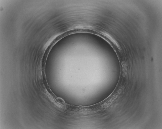 X0000073450972200608111346