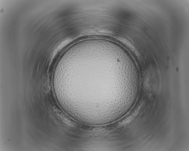 X0000073450974200608111346