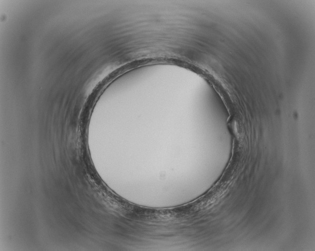 X0000073450975200608111346