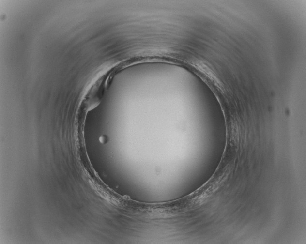 X0000073450976200608111346