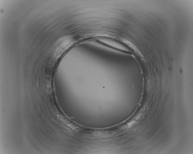 X0000073450977200608111346