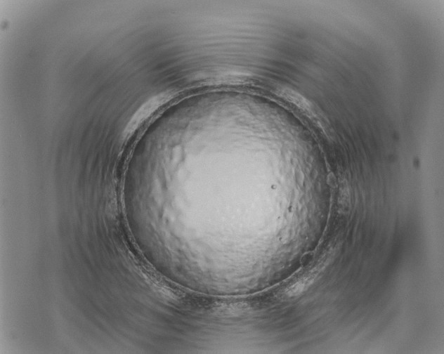 X0000073450978200608111346