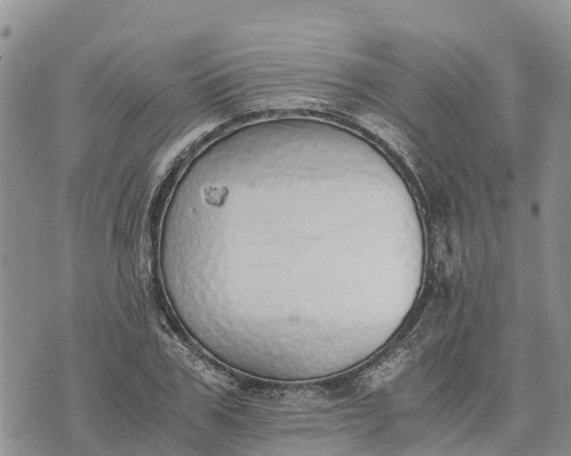 X0000073450979200608111346