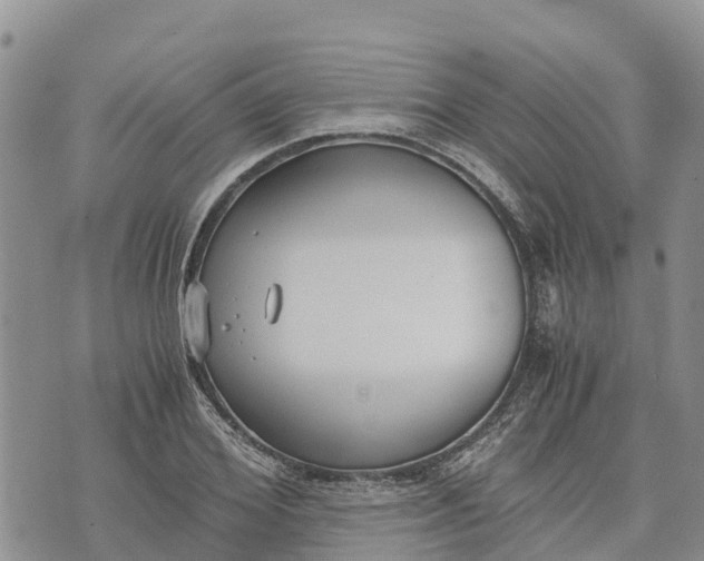 X0000073450980200608111346