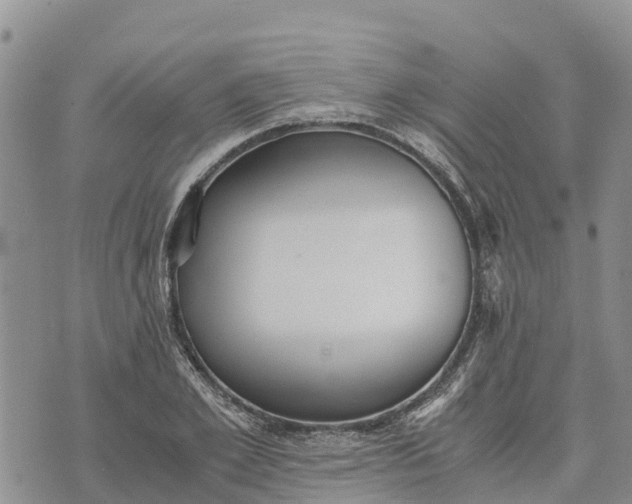 X0000073450981200608111346