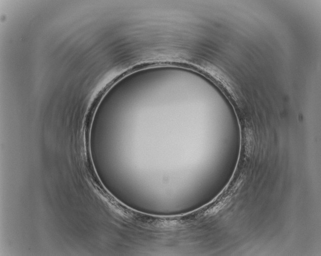 X0000073450982200608111346