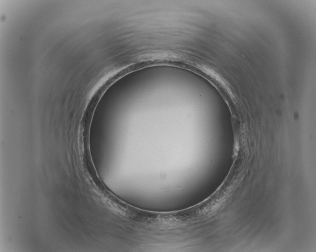 X0000073450983200608111346