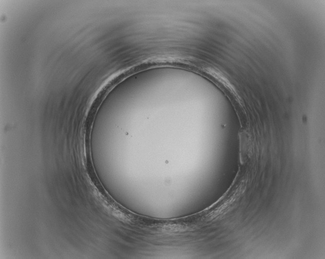 X0000073450984200608111346