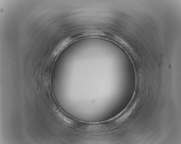 X0000073450985200608111346