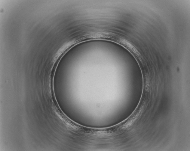 X0000073450986200608111346