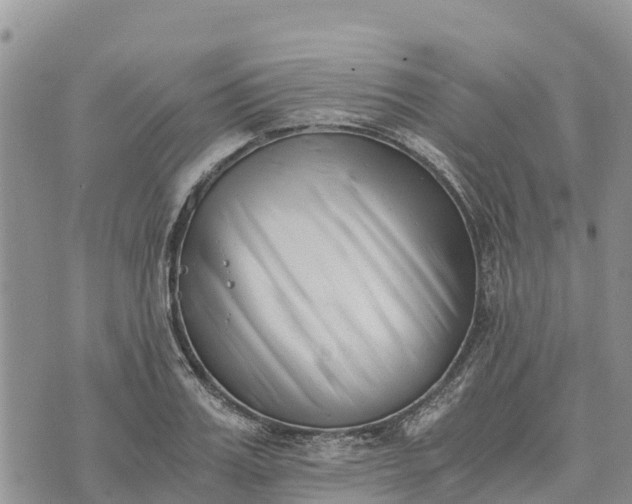 X0000073450987200608111346