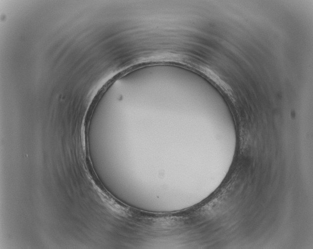 X0000073450988200608111346