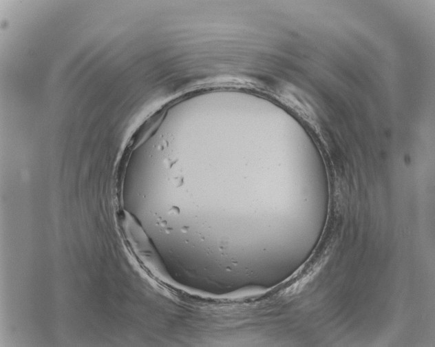 X0000073450989200608111346