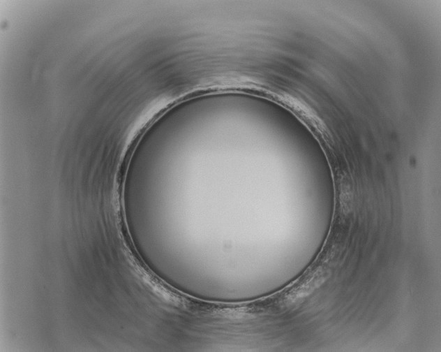 X0000073450990200608111346