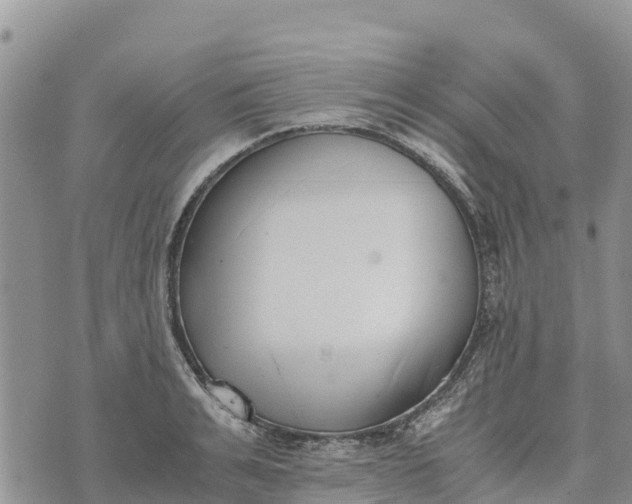 X0000073450991200608111346