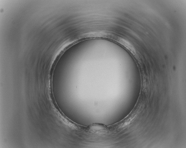 X0000073450992200608111346