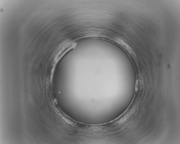 X0000073450993200608111346