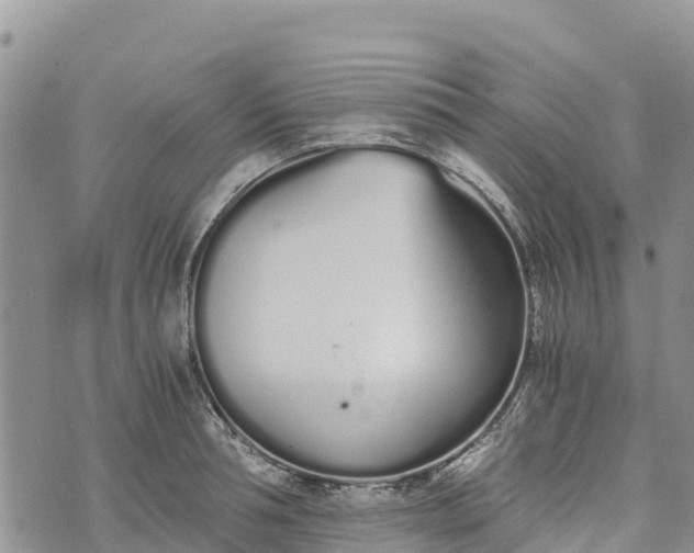 X0000073450994200608111346