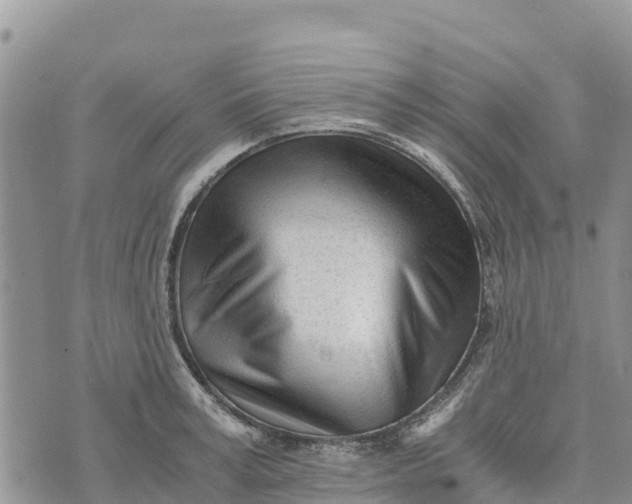 X0000073450995200608111346