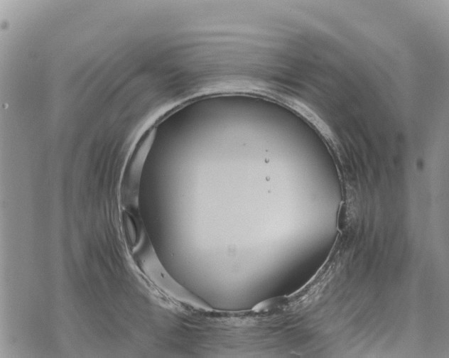 X0000073450996200608111346