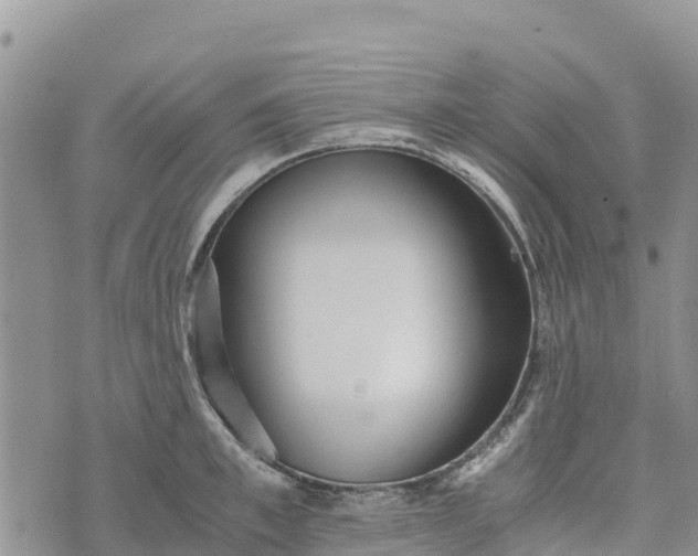 X0000073450997200608111346