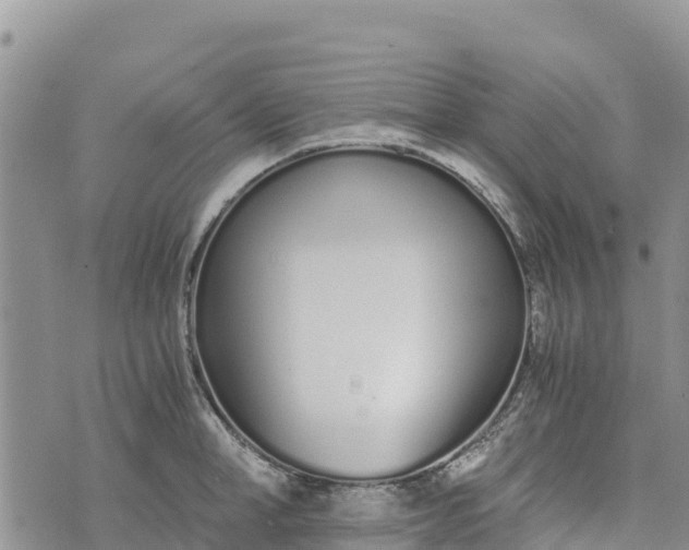 X0000073450998200608111345