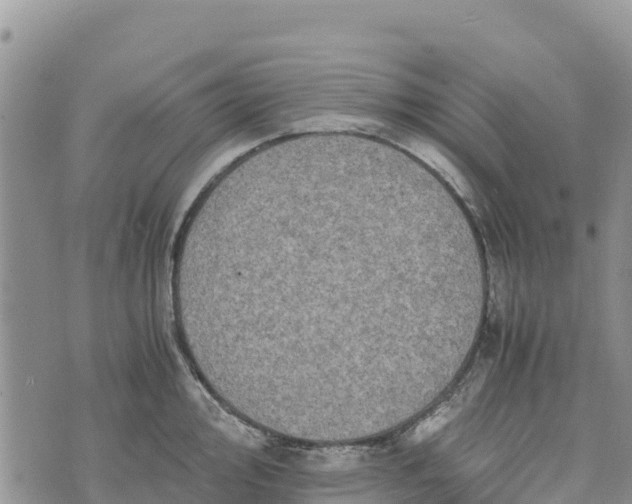 X0000073451000200608111345