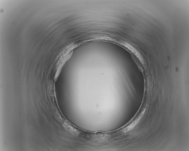 X0000073451001200608111345