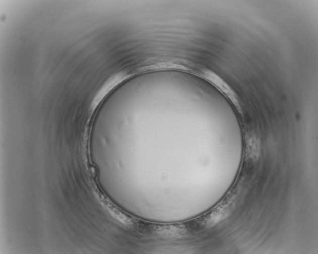 X0000073451002200608111345