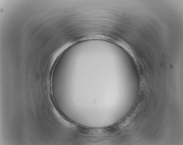 X0000073451003200608111345