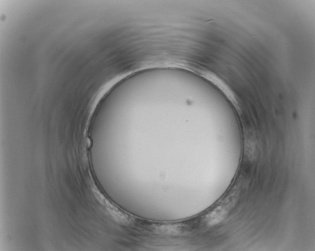 X0000073451004200608111345