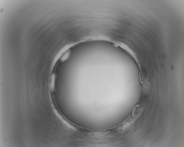 X0000073451005200608111345