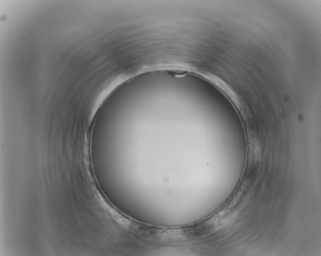 X0000073451006200608111345