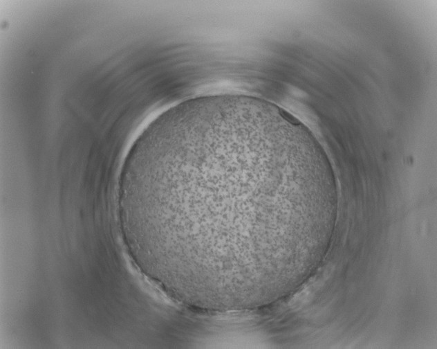 X0000073451008200608111345