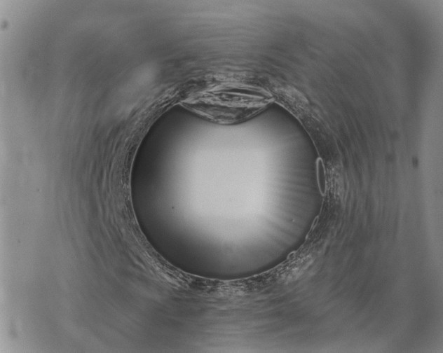 X0000073451009200608111345