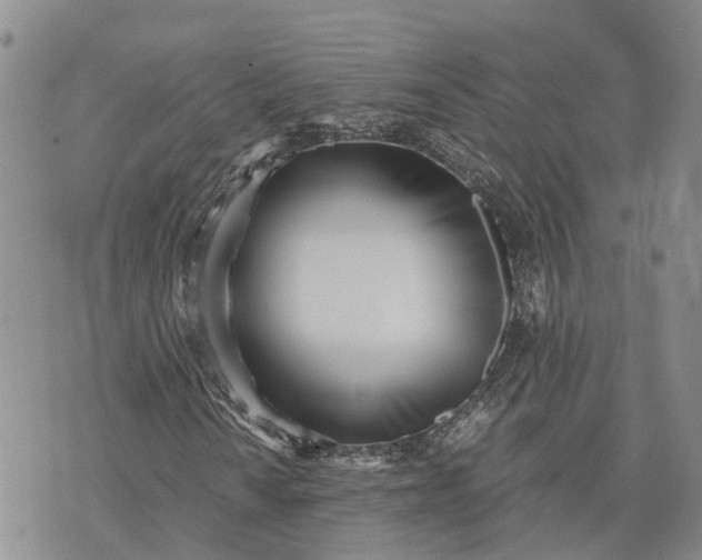 X0000073451010200608111345