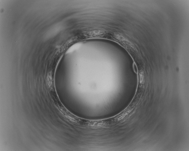 X0000073451011200608111345