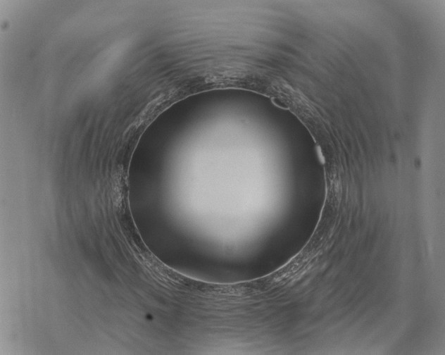 X0000073451012200608111345