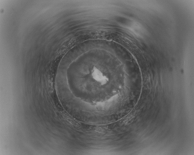 X0000073451013200608111345