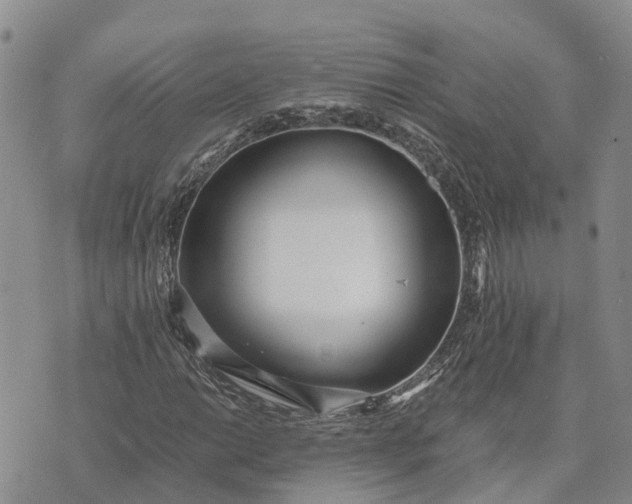 X0000073451014200608111345