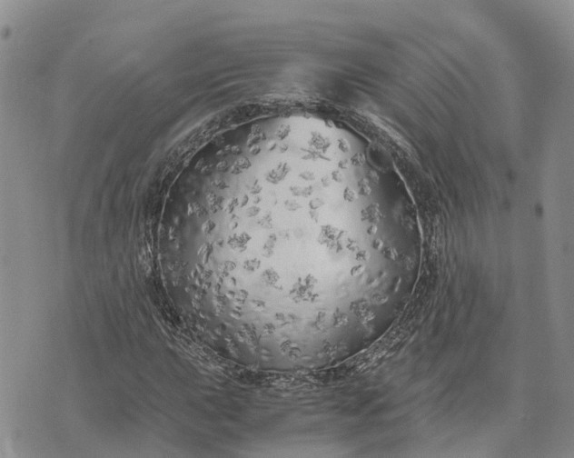 X0000073451015200608111345