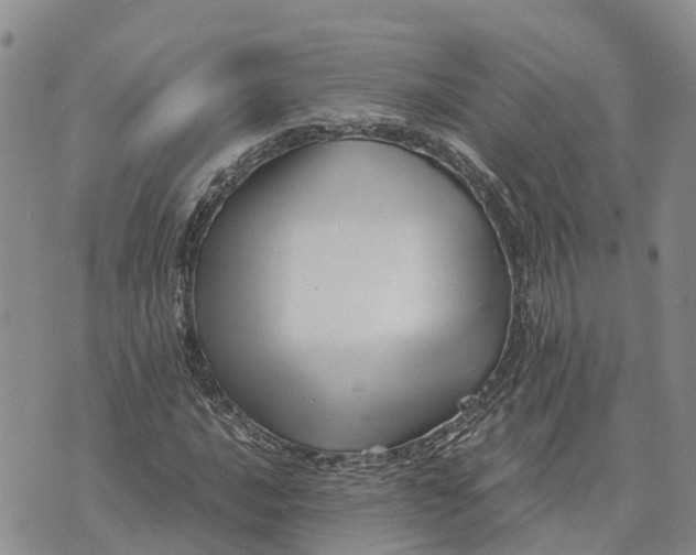 X0000073451016200608111345