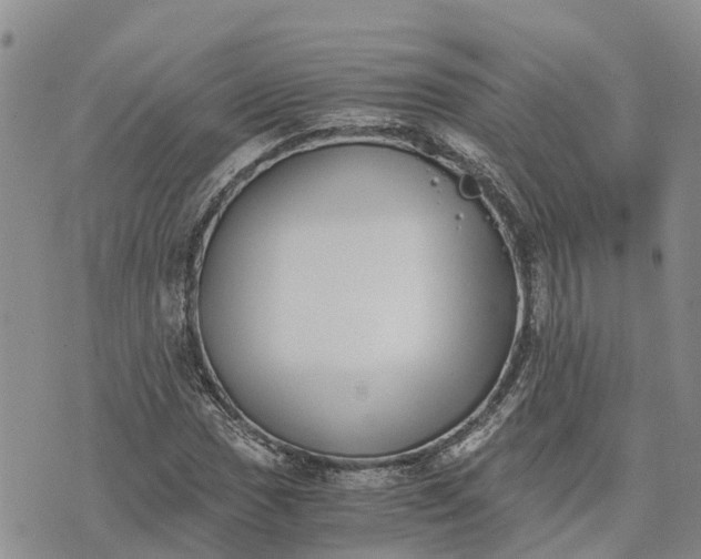 X0000073451017200608111345