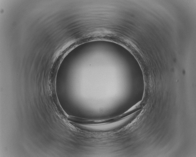 X0000073451018200608111345